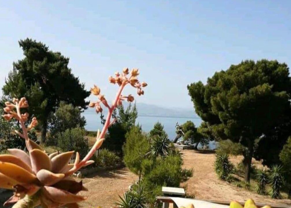 Photo of Outdoor in Skaloma