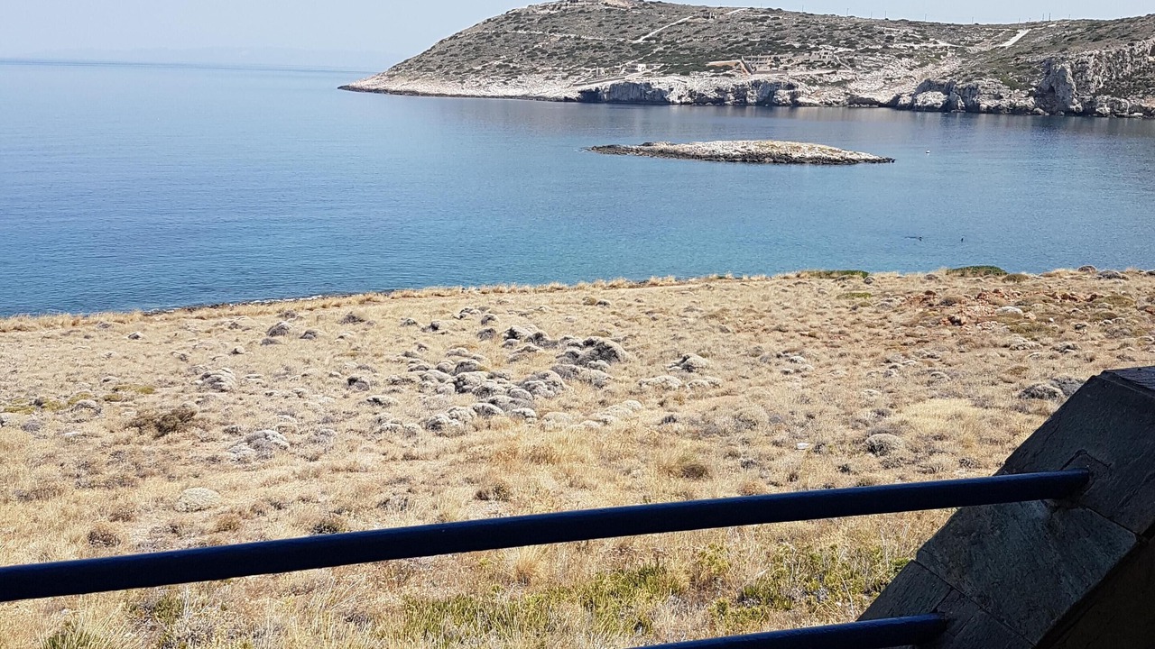 Photo of Others in Kaki Thalassa