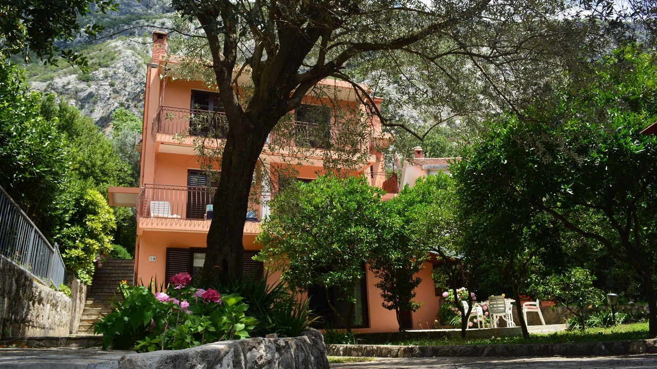 Photo of Outdoor in Dobrota
