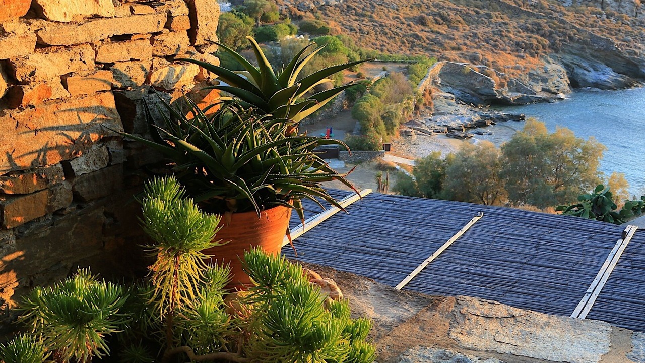 Photo of Outdoor in Pisses