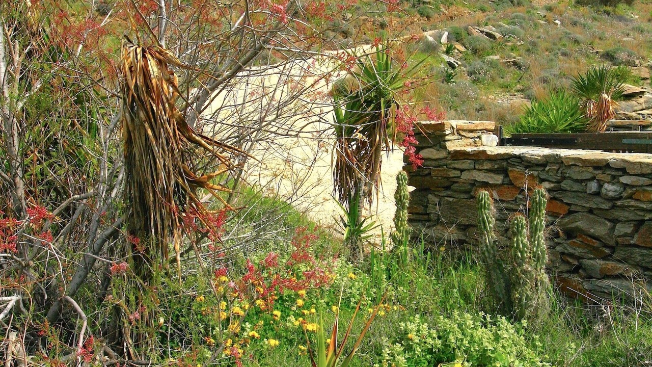 Photo of Outdoor in Pisses