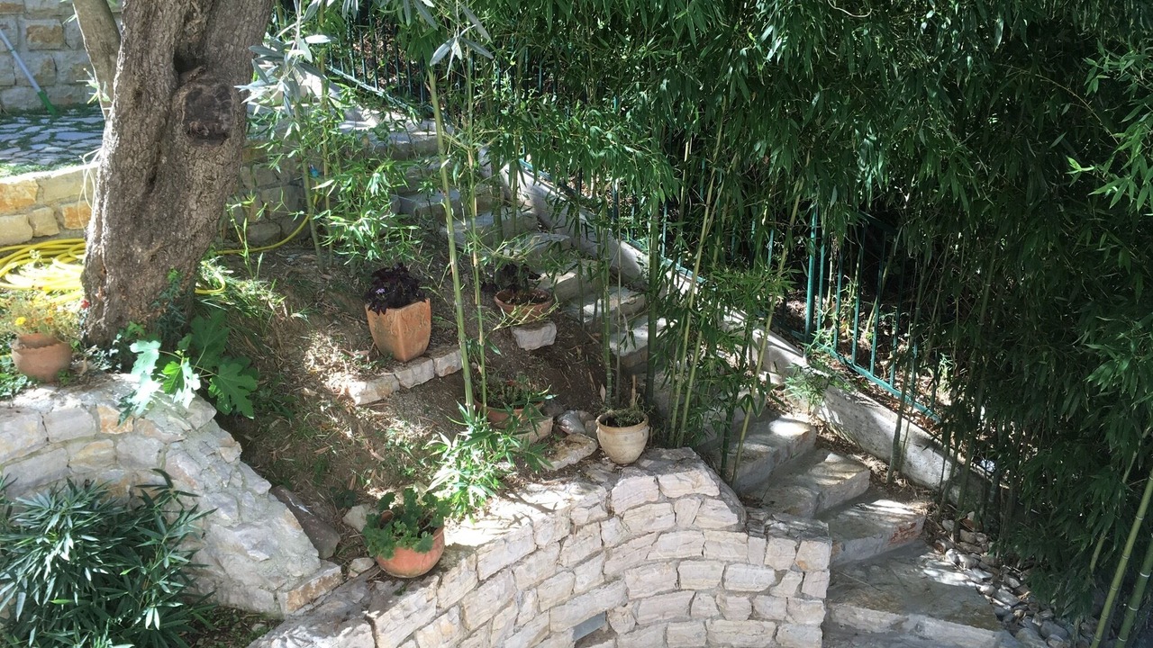 Photo of Outdoor in Igalo