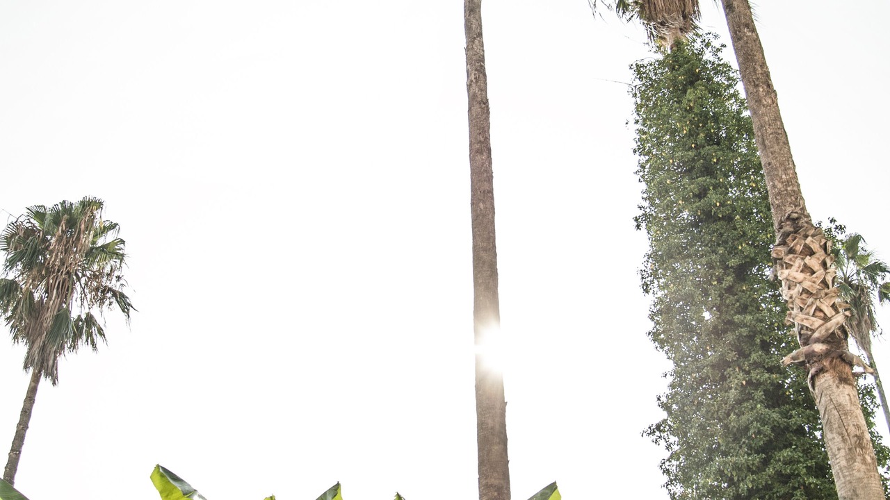 Photo of Outdoor in Herceg Novi