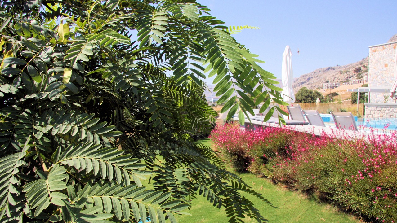 Photo of Outdoor in Pefkos