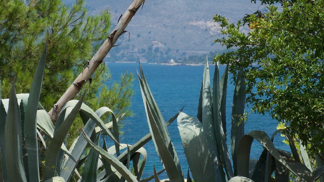 Photo of Others in Paliki