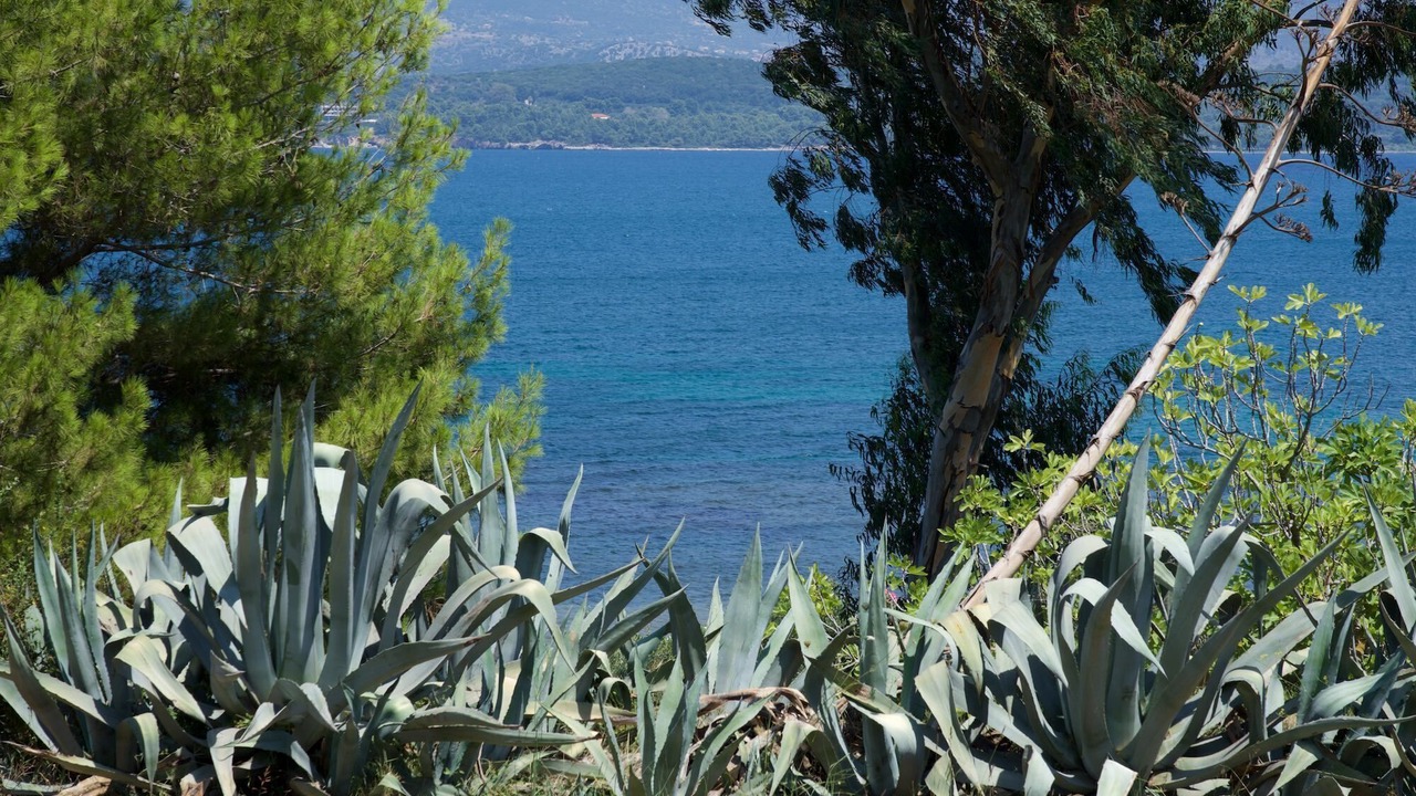 Photo of Others in Paliki
