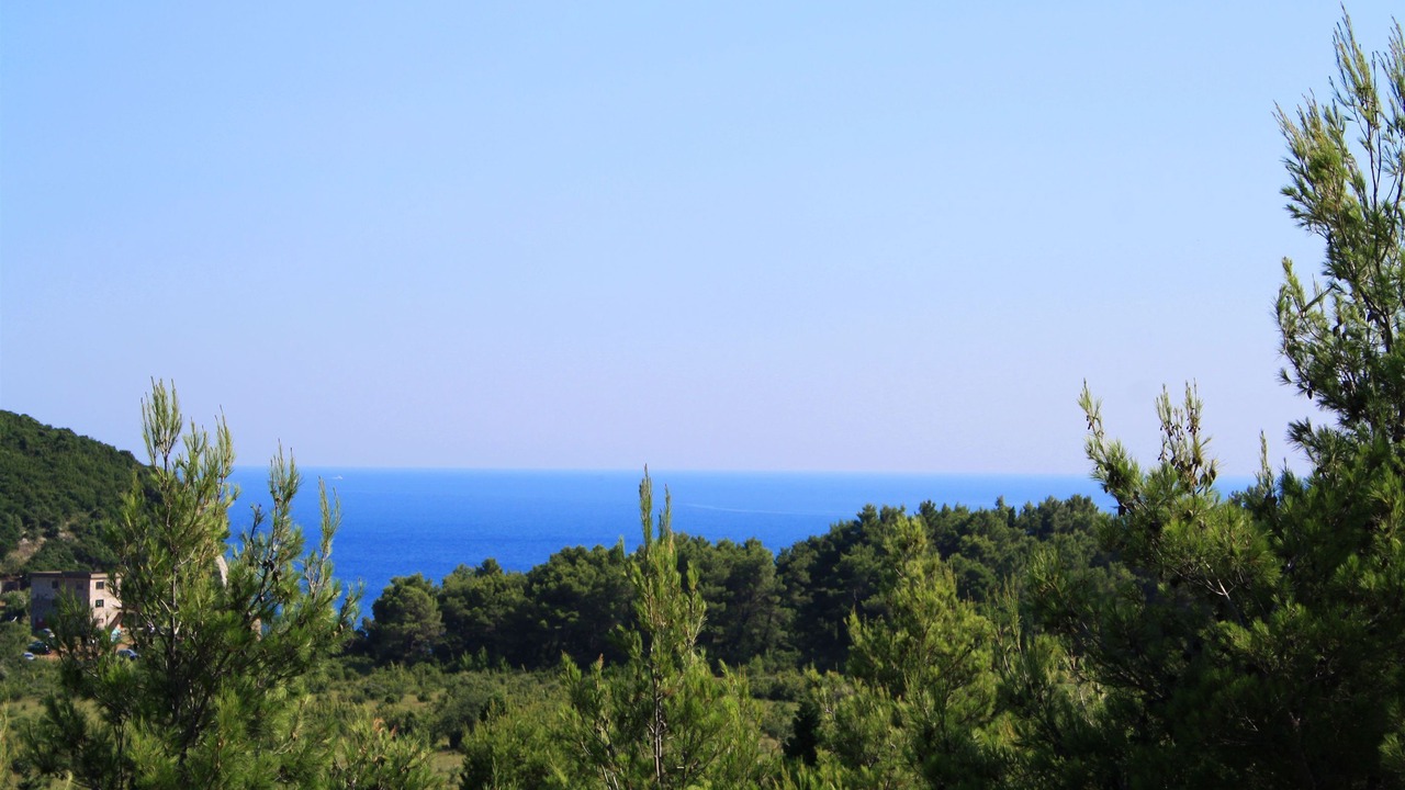 Photo of Others in Sutomore