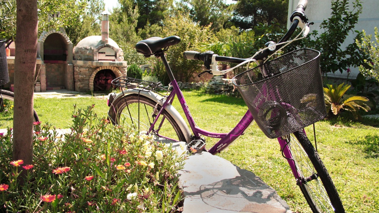 Photo of Outdoor in Sutomore