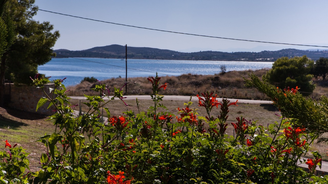 Photo of Others in Ermionida