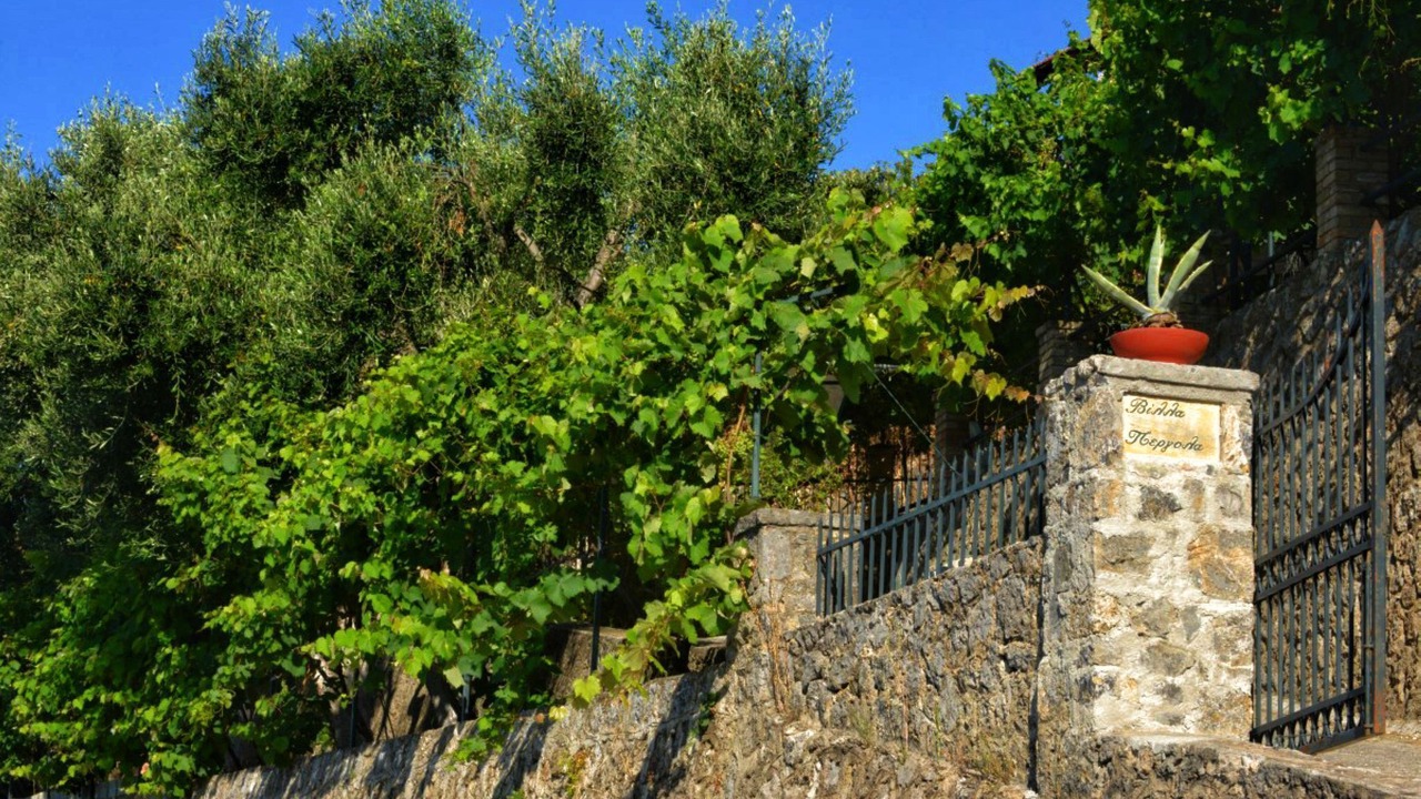 Photo of Outdoor in Pirgi