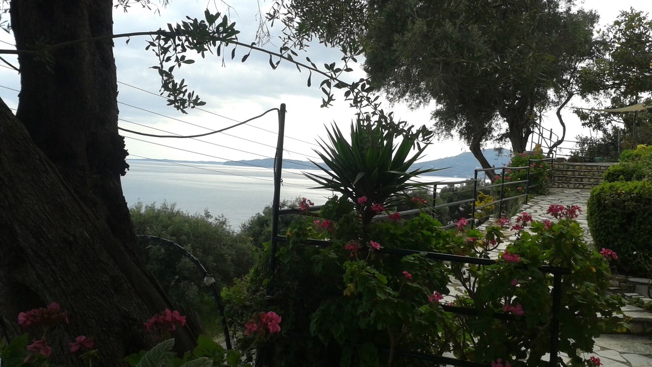 Photo of Outdoor in Agios Ioannis Peristeron