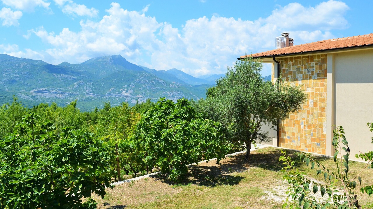Photo of Outdoor in Boljevici