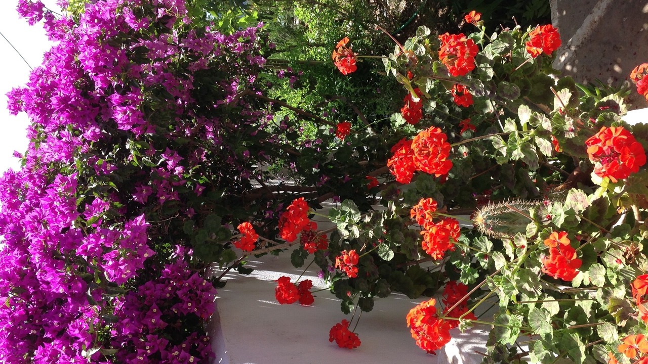 Photo of Outdoor in Pylos-Nestoras