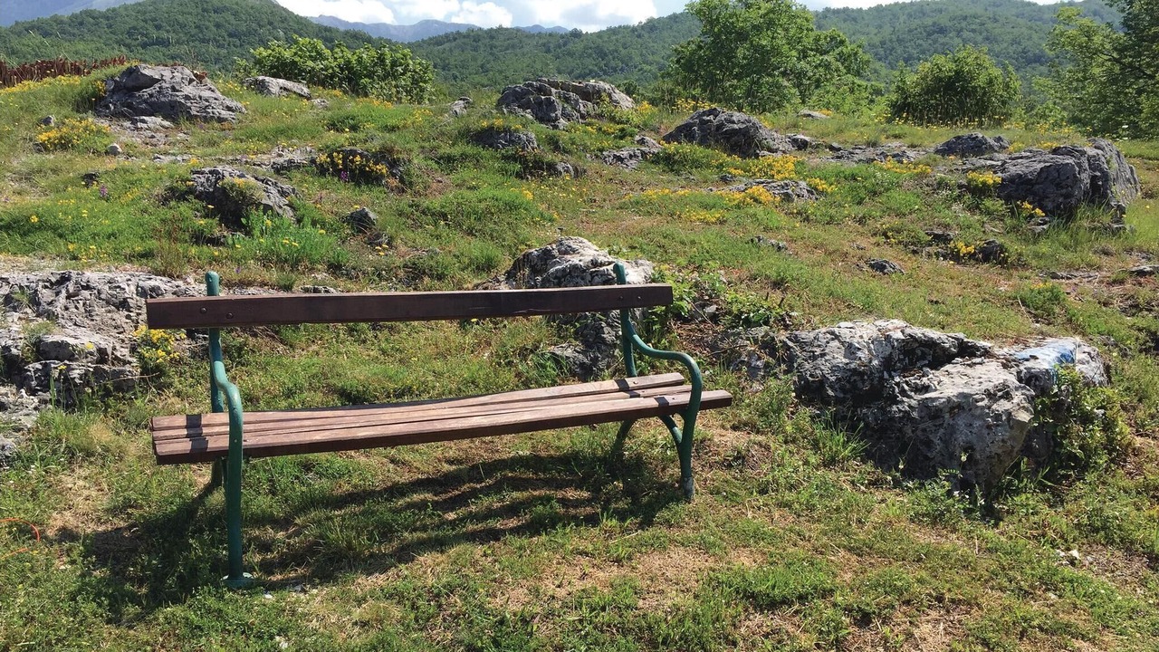 Photo of Others in Krusevice
