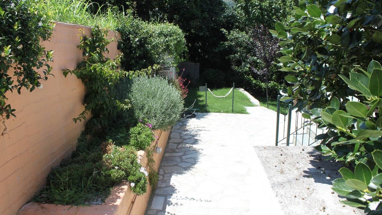 Photo of Outdoor in Zagora-Mouresi
