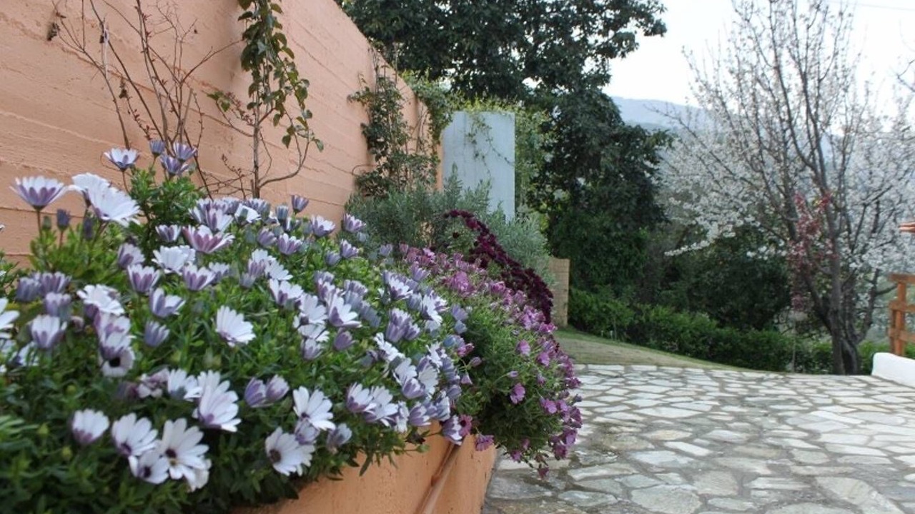 Photo of Outdoor in Zagora-Mouresi