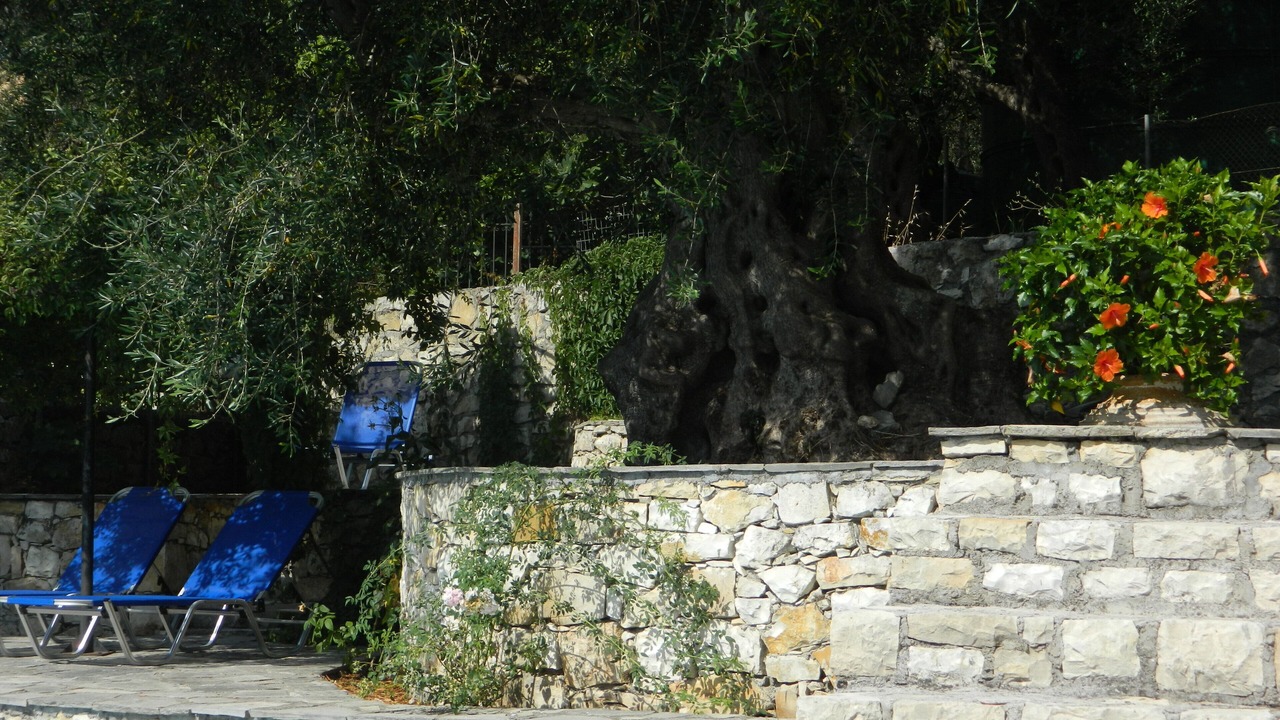 Photo of Outdoor in Mpogdanatika