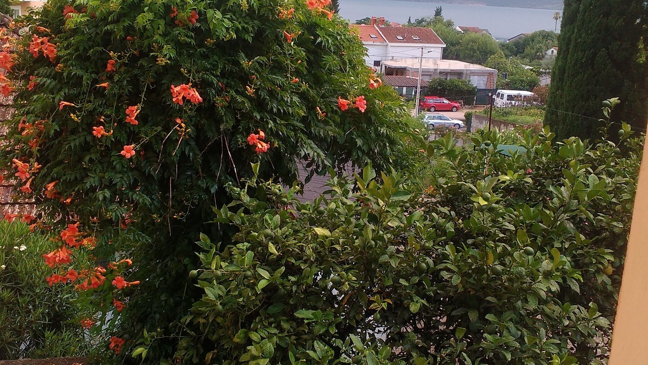 Photo of Outdoor in Bijela