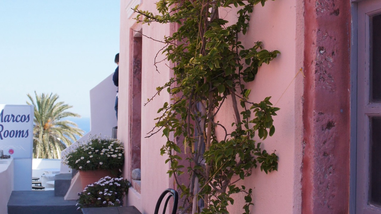 Photo of Outdoor in Oia