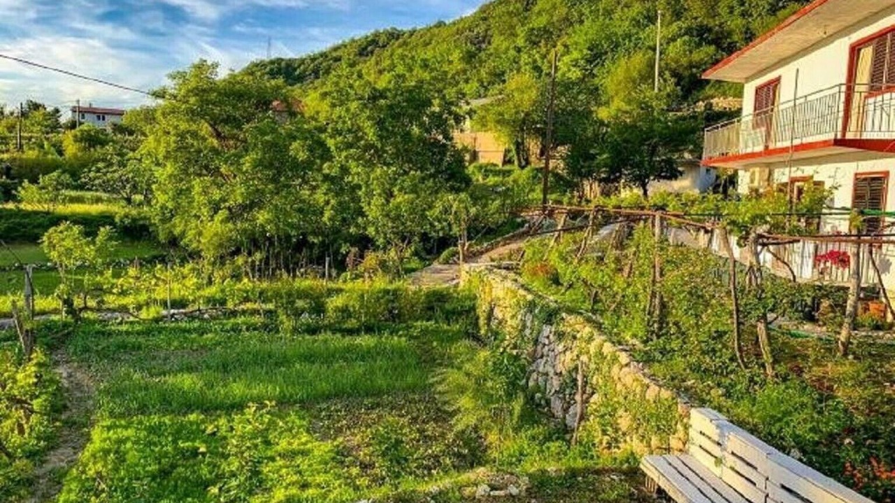 Photo of Outdoor in Limljani