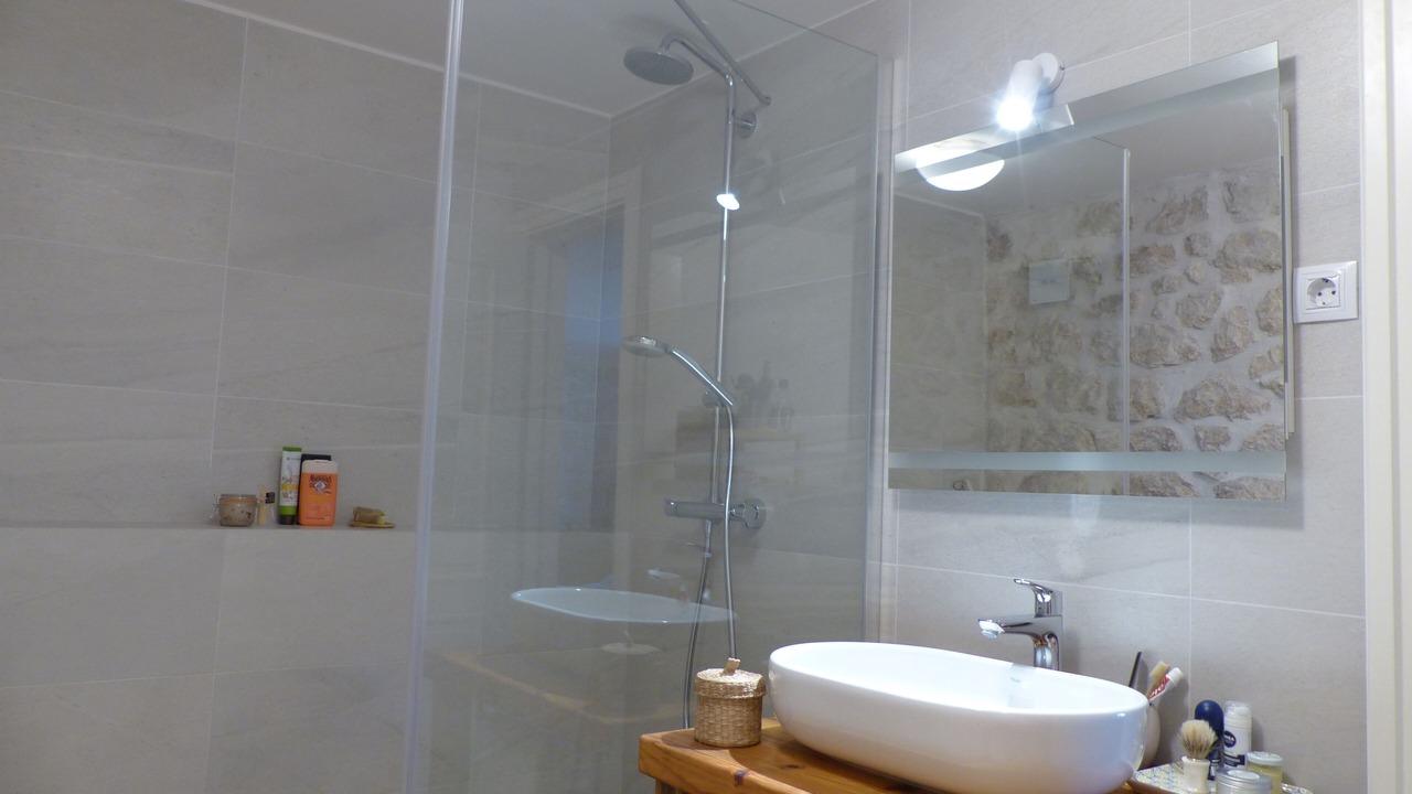 Photo of Bathroom in Radanovici