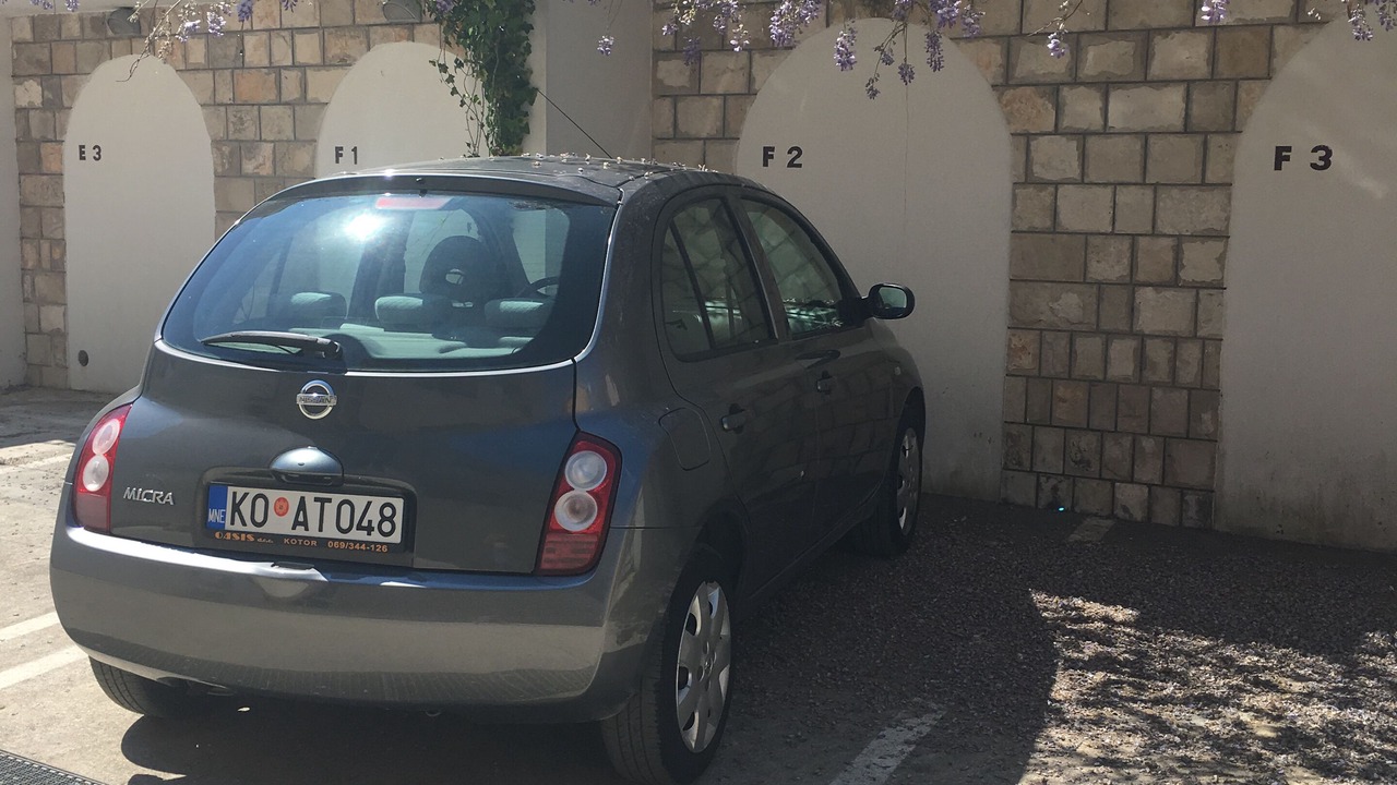 Photo of Others in Kotor
