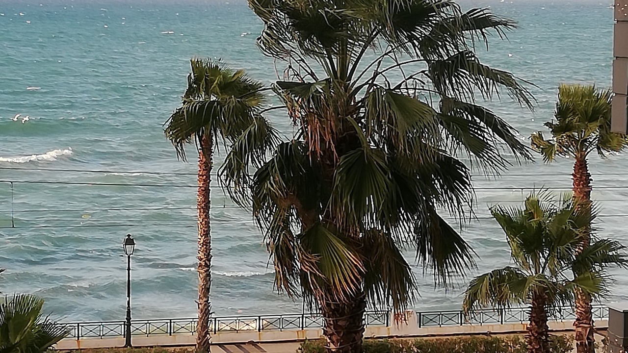 Photo of Others in Palaio Faliro