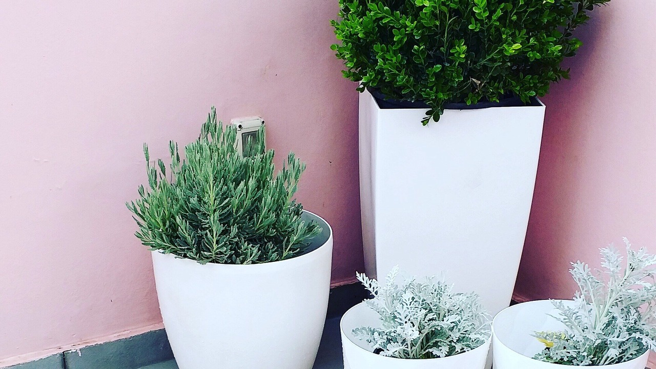 Photo of Outdoor in Dassia