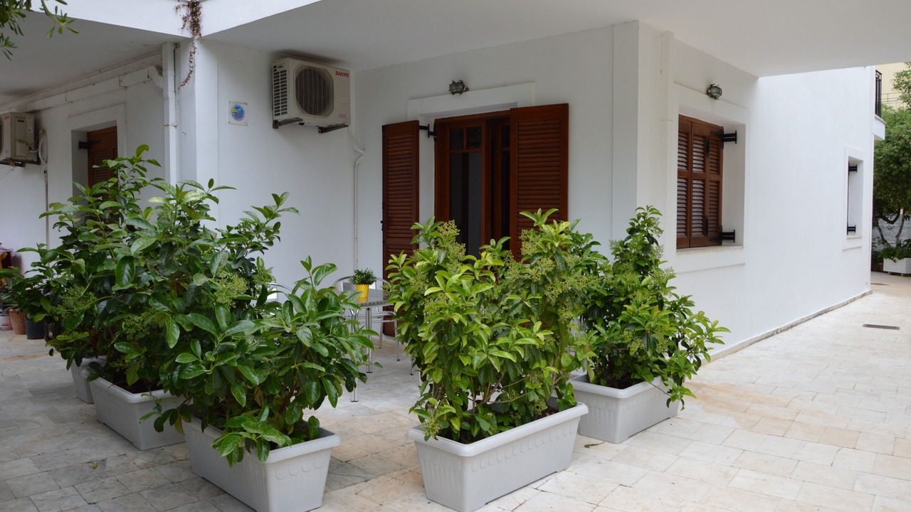 Photo of Outdoor in Poros