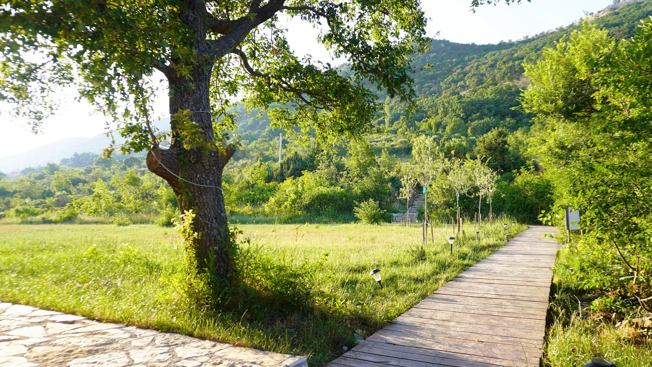 Photo of Outdoor in Petrovac