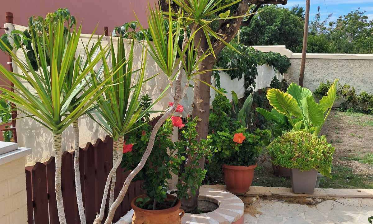 Photo of Outdoor in Agios Gordios