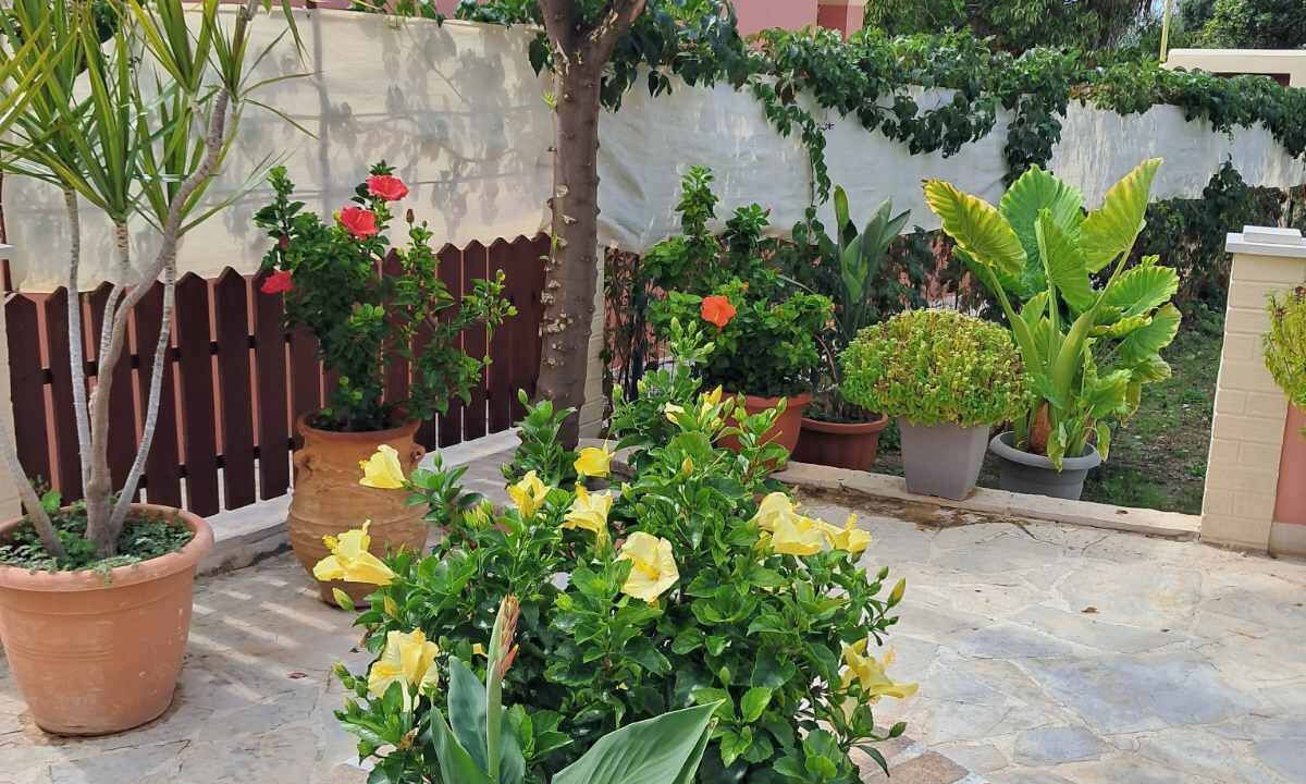 Photo of Outdoor in Agios Gordios