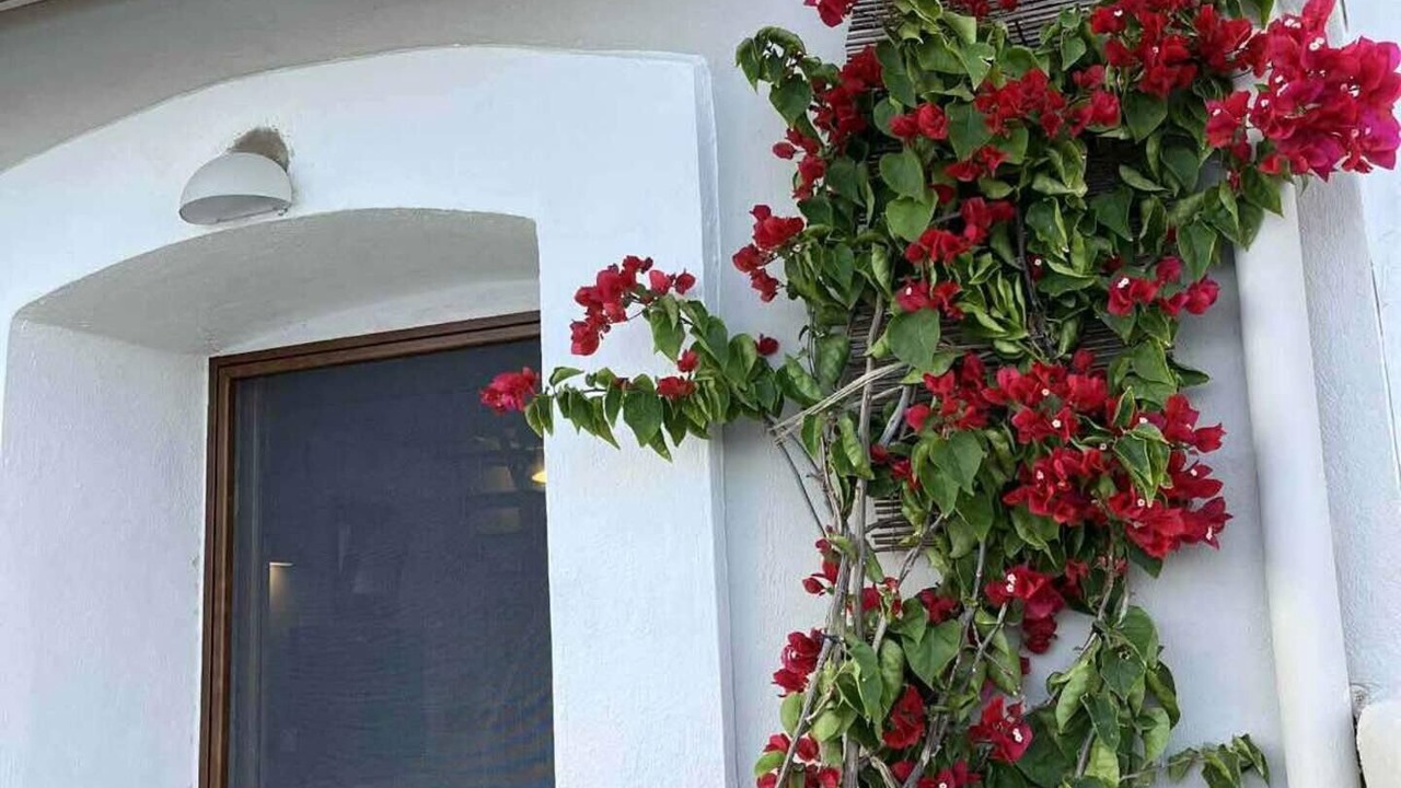Photo of Outdoor in Kardamyla