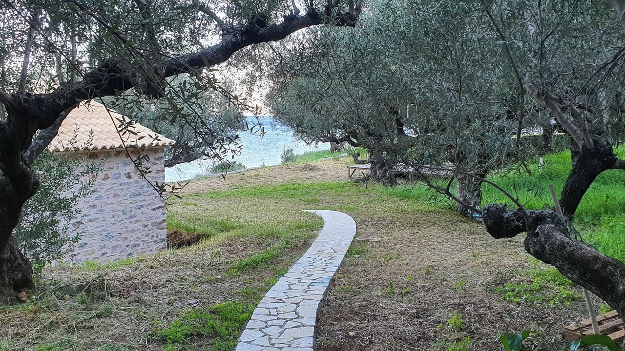 Photo of Outdoor in Omales