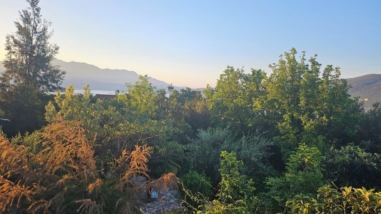 Photo of Others in Herceg Novi Municipality