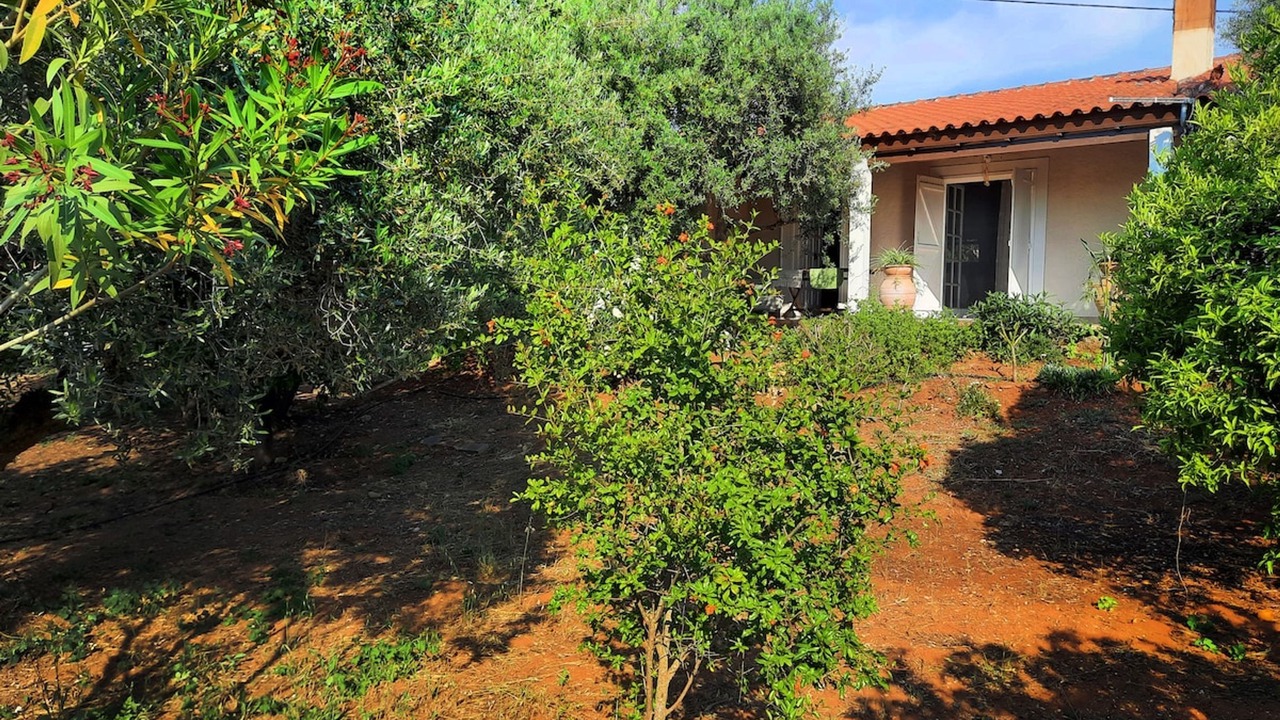 Photo of Outdoor in Agrilos