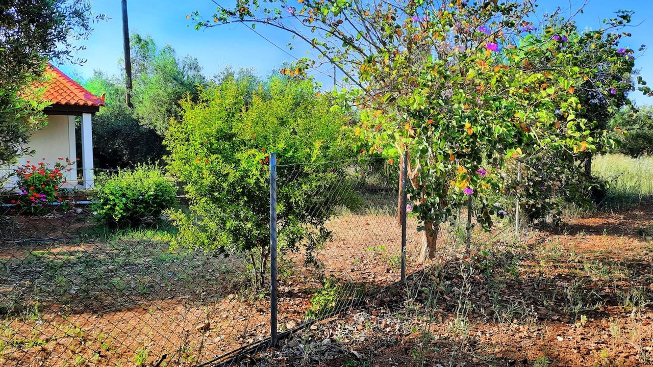 Photo of Outdoor in Agrilos
