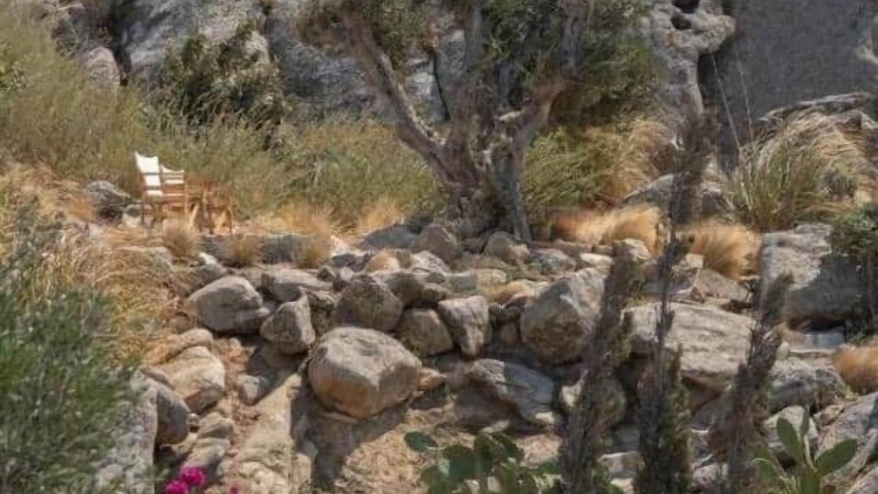 Photo of Others in Mykonos