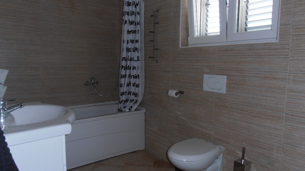 Photo of Bathroom in Radovici