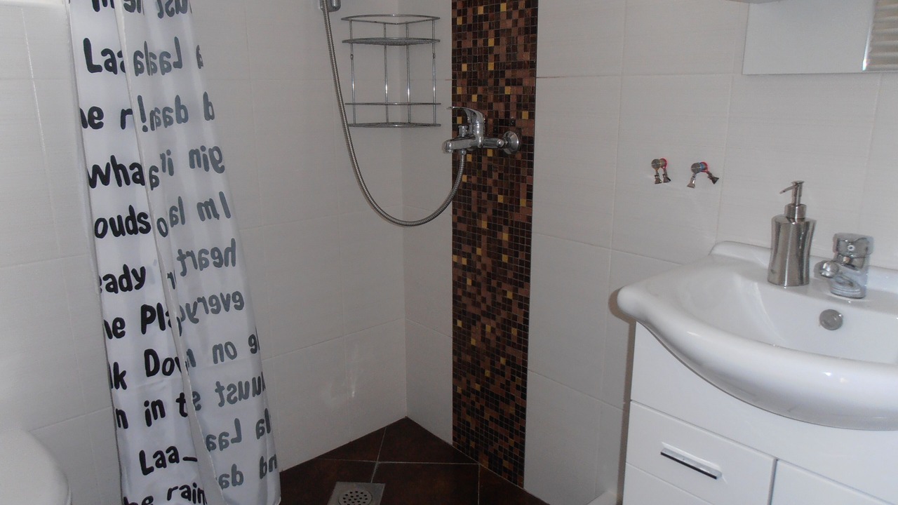Photo of Bathroom in Radovici