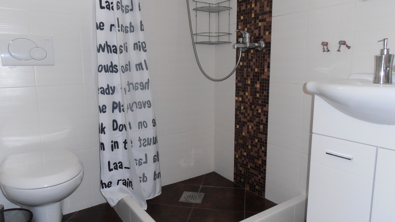 Photo of Bathroom in Radovici