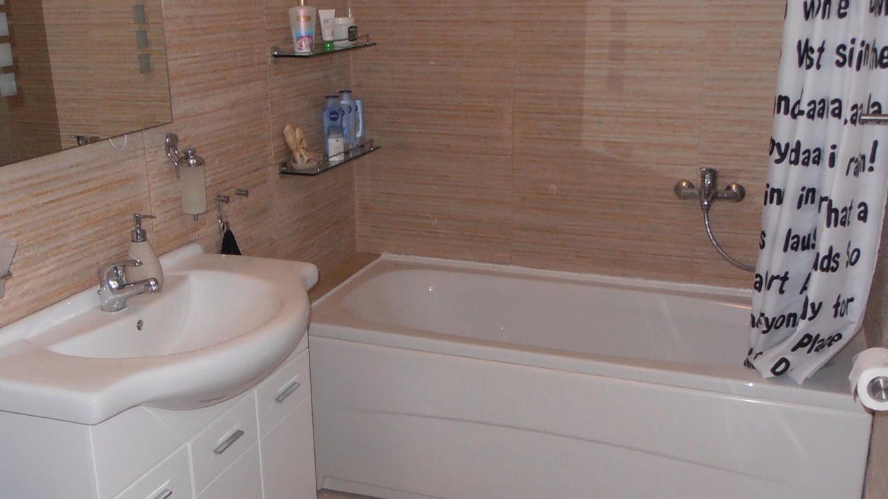 Photo of Bathroom in Radovici