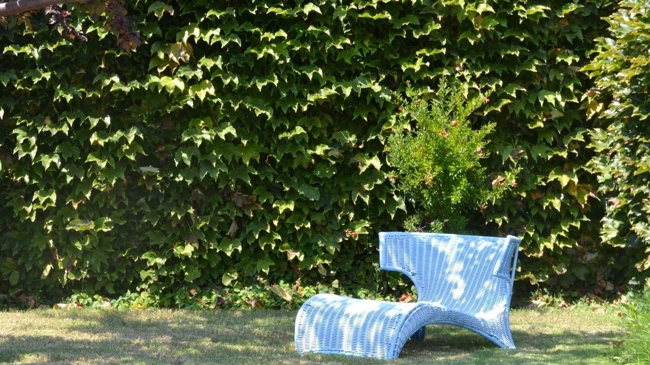 Photo of Outdoor in Skopelos