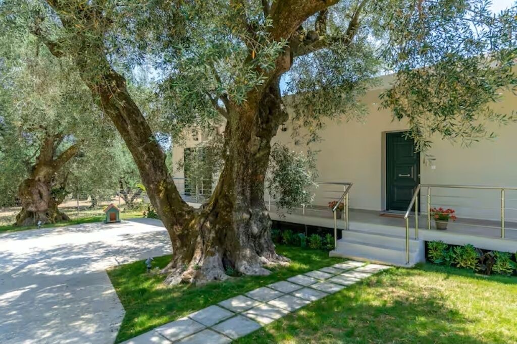 Photo of Outdoor in Porto Koukla