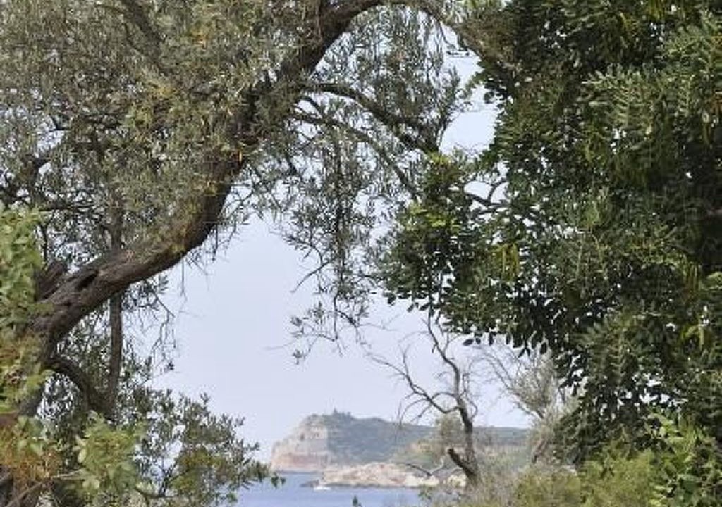 Photo of Others in Klinci