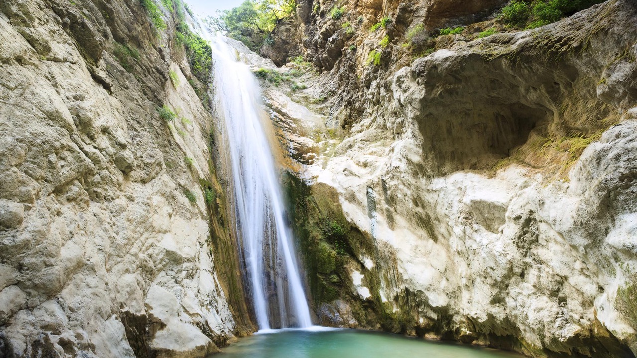 Photo of Others in Lygia