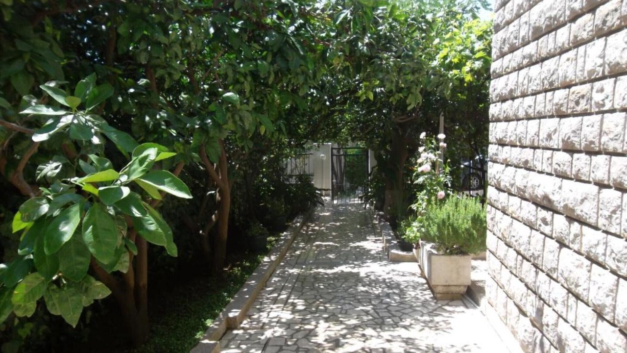 Photo of Outdoor in Petrovac