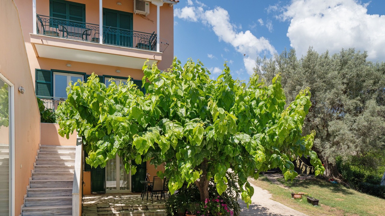 Photo of Outdoor in Nikiana