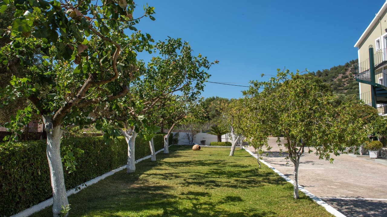Photo of Outdoor in Mazarakata