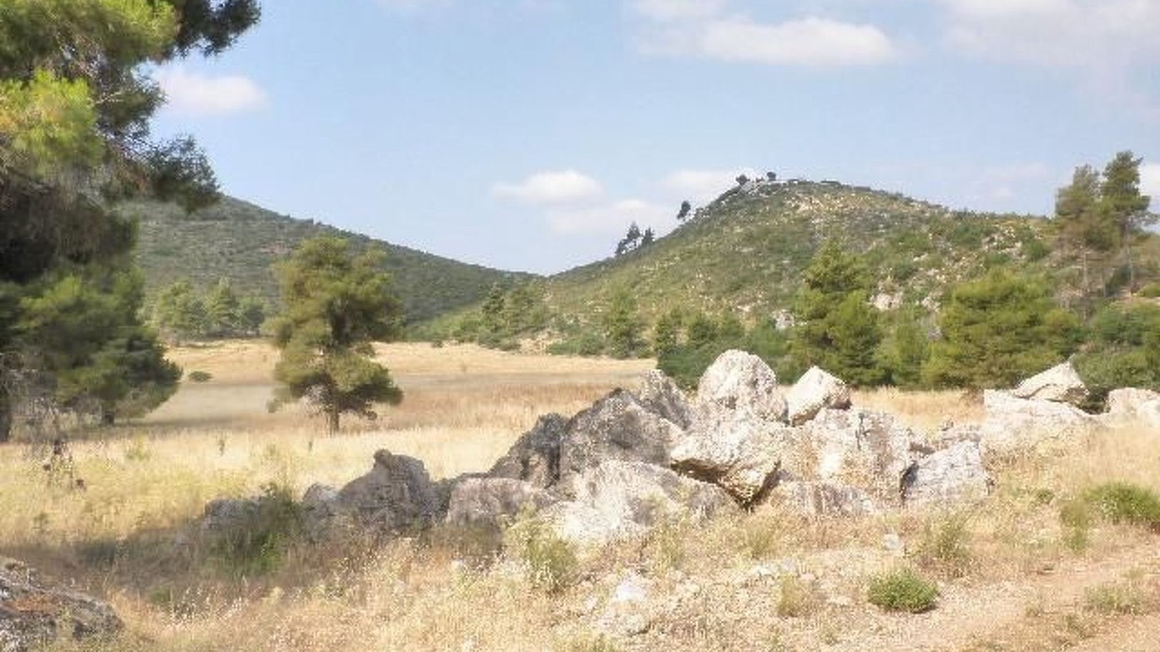 Photo of Others in Eretria